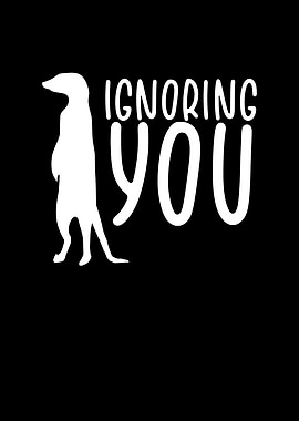 Meerkat ignoring you