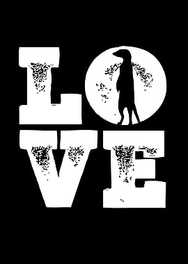 Meerkat love