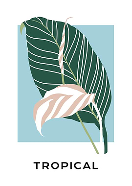 Botanical tropical leaves