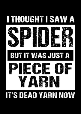 Crochet Spider Funny