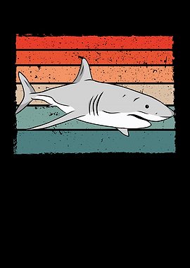 Shark retro colour