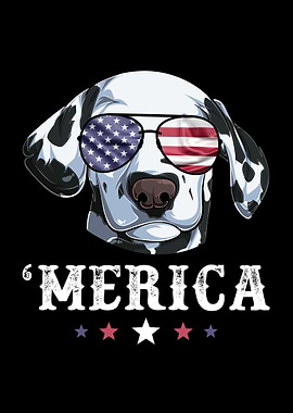 Dalmatian Dog 4th of July