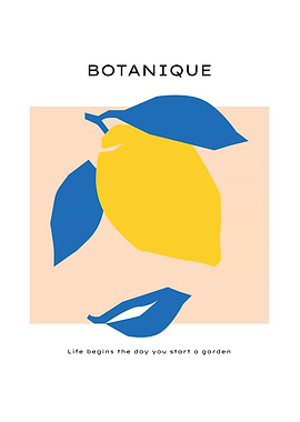 Yellow Lemon Kitchen dcor