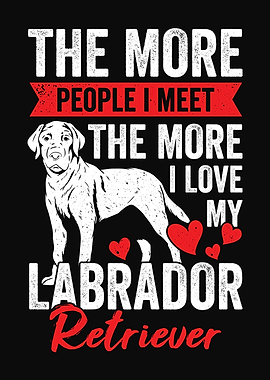 Labrador Retriever Dog