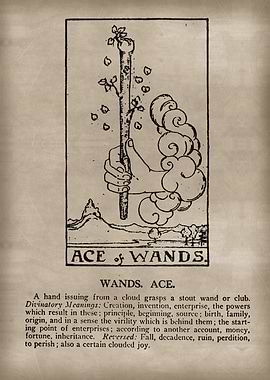 Ace of Wands Tarot Card