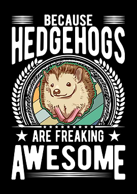 Hedgehogs Are Awesome