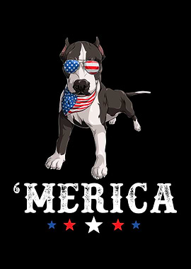 Pit Bull Merica 4th of Jul