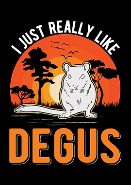 I Just Really Like Degus