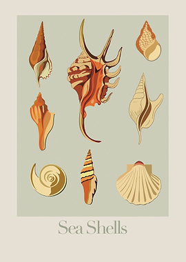 Retro Sea Shells