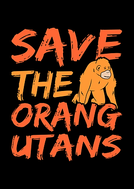 Distracted By Orangutans