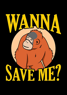 Distracted By Orangutans