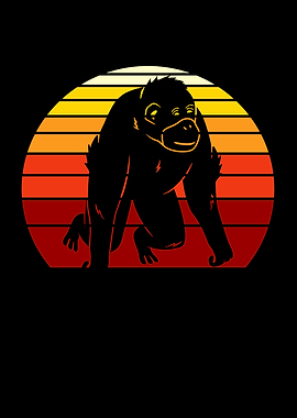 Distracted By Orangutans