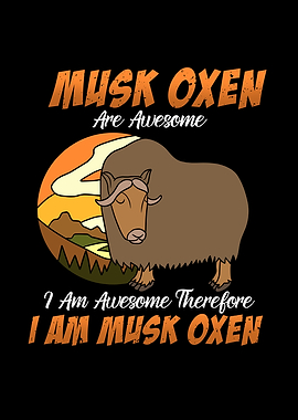 Awesome Musk Oxen Wild