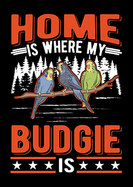 Home Is Where My Budgie