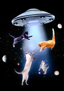Space cats UFO
