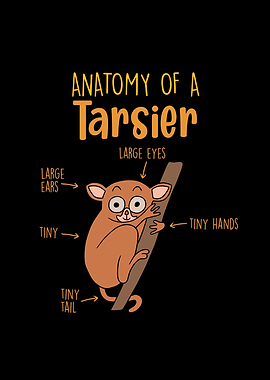 Tarsier Anatomy Gift