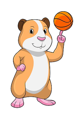 Guinea pig Basketball