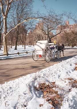 Central Park New York City