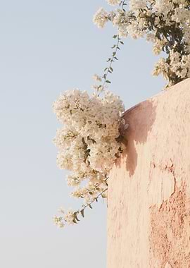 Santorini Oia Beauty 4