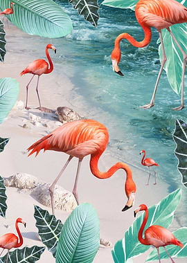 Caribbean Flamingo Dream 1