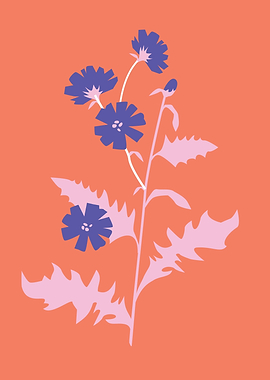 Botanical pink blue flower