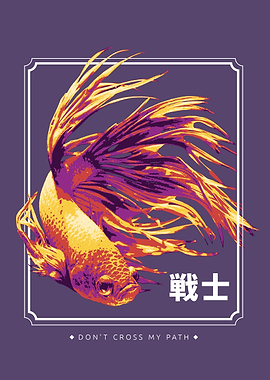 Betta fish sea swimming