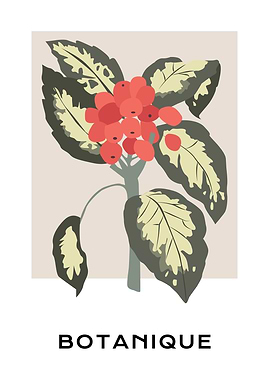 Botanical green leaf plant