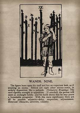 Wands Nine Tarot Card