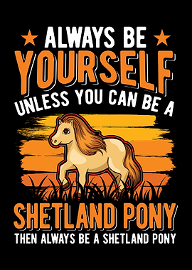 Shetland Pony Shetty