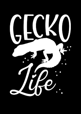 Gecko life