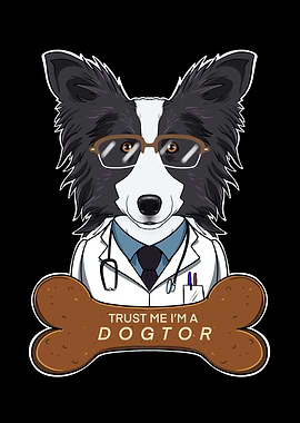 Veterinary Border Collie