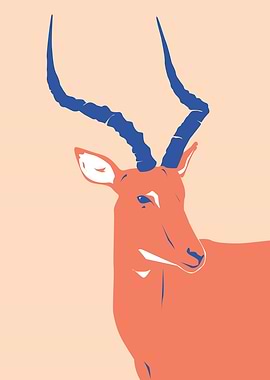 Forest Deer wild animal