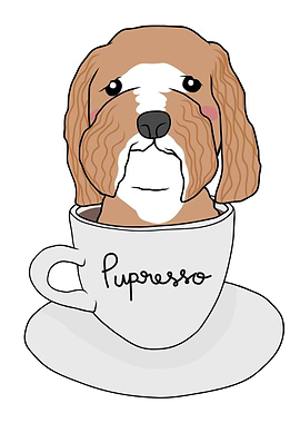 Poodle dog in coffee cup