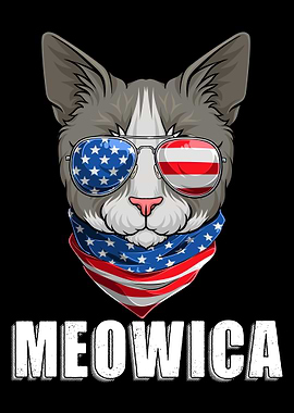 Cat 4th of July Kitten