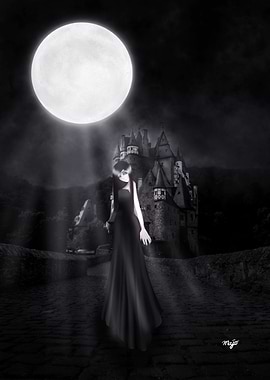 Moon Lights The Castle