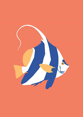 Cute Aquarium Fish animal