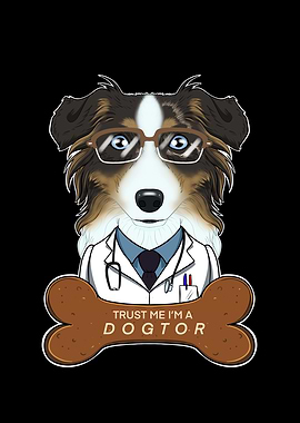 Vet Australian Shepherd