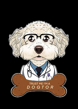 Veterinary Bichon Frise