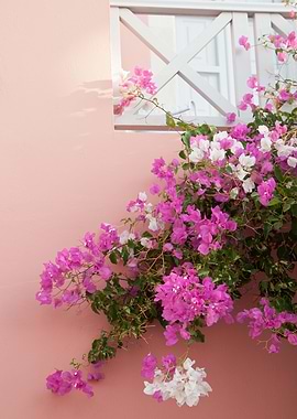 Santorini Oia Beauty 5