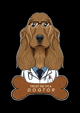 Veterinary Cocker Spaniel