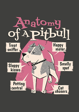 Pitbull dog animal cute