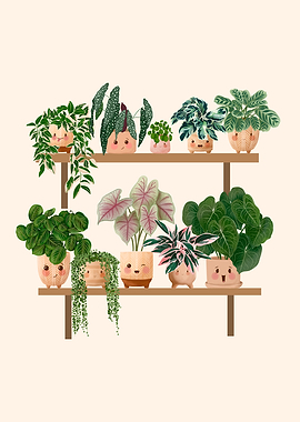 Happy Plants Club Shelf