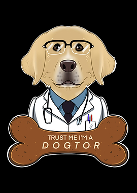 Veterinary Labrador Dogtor