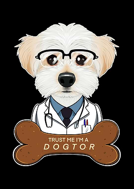 Veterinary Maltese Dogtor