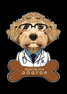Veterinary Labaradoodle