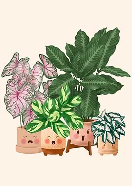 Happy Plants Club 4