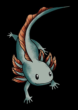 Axolotl Salamander