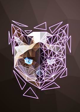 Siamese cat geometry