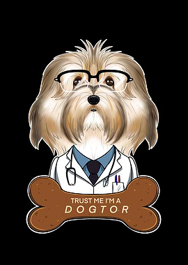 Veterinary Havanese Dogtor
