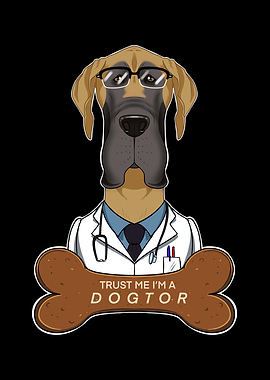 Veterinary Great Dane